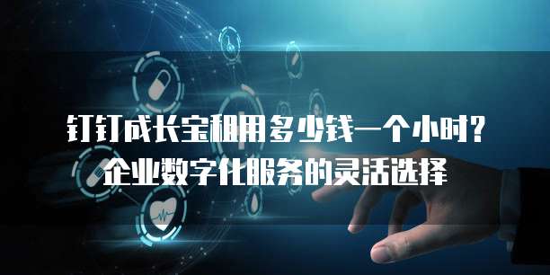 钉钉成长宝租用多少钱一个小时?企业数字化服务的灵活选择