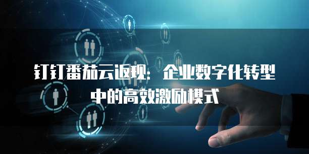钉钉番茄云返现:企业数字化转型中的高效激励模式