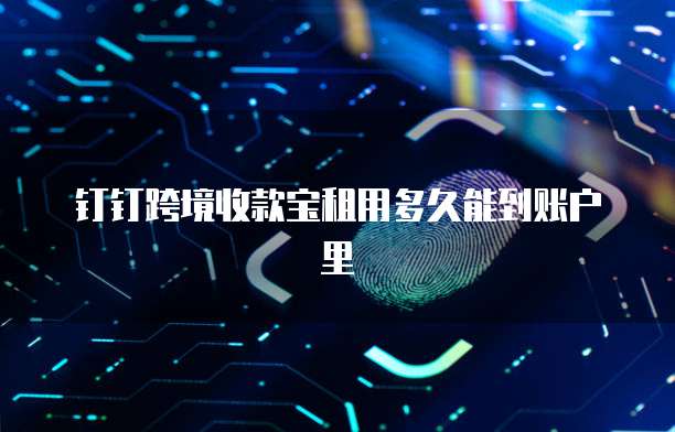 钉钉跨境收款宝租用多久能到账户里