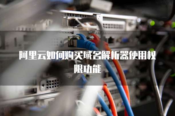 阿里云如何购买域名解析器使用权限功能