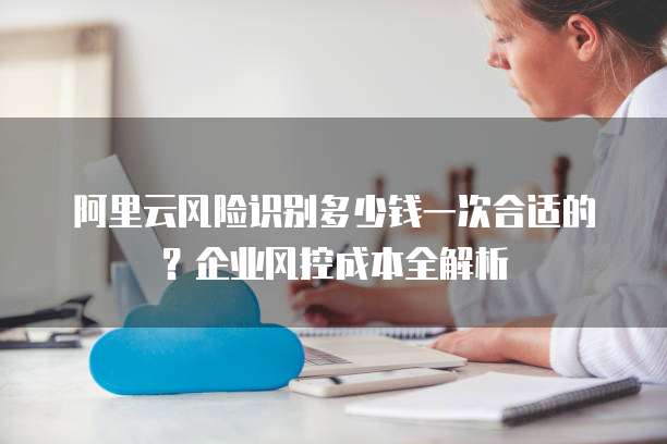 阿里云风险识别多少钱一次合适的?企业风控成本全解析