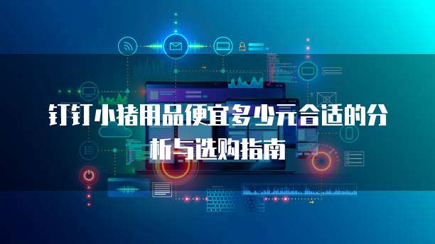 钉钉小猪用品便宜多少元合适的分析与选购指南
