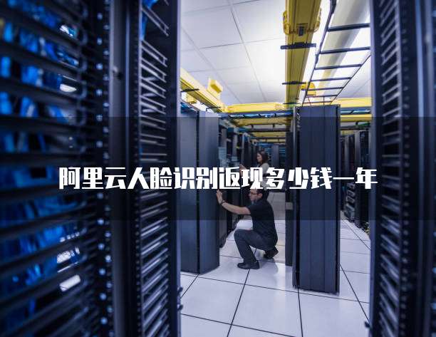 阿里云人脸识别返现多少钱一年