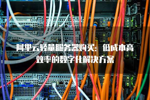阿里云轻量服务器购买:低成本高效率的数字化解决方案