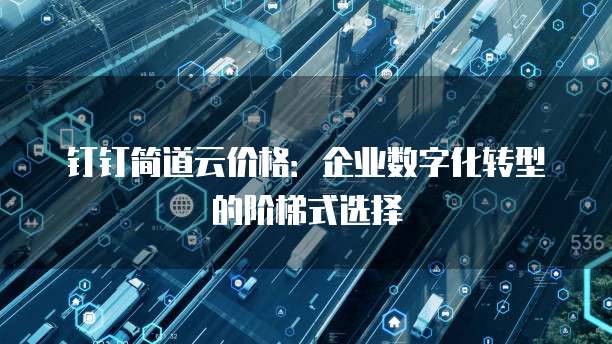 钉钉简道云价格:企业数字化转型的阶梯式选择