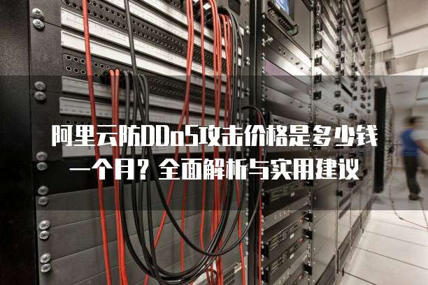 阿里云防DDoS攻击价格是多少钱一个月?全面解析与实用建议
