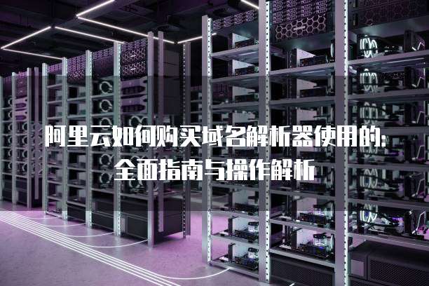 阿里云如何购买域名解析器使用的：全面指南与操作解析