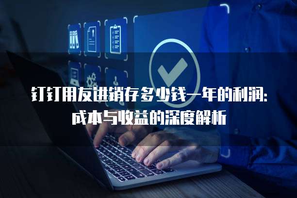 钉钉用友进销存多少钱一年的利润:成本与收益的深度解析