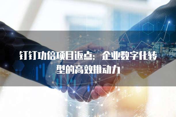 钉钉功倍项目返点:企业数字化转型的高效推动力