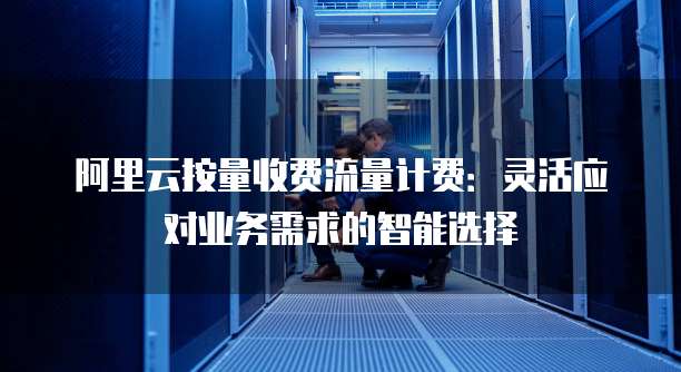 阿里云按量收费流量计费：灵活应对业务需求的智能选择