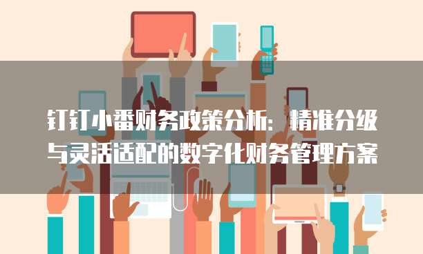 钉钉小番财务政策分析：精准分级与灵活适配的数字化财务管理方案