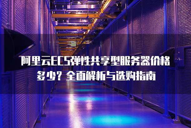 阿里云ECS弹性共享型服务器价格多少?全面解析与选购指南