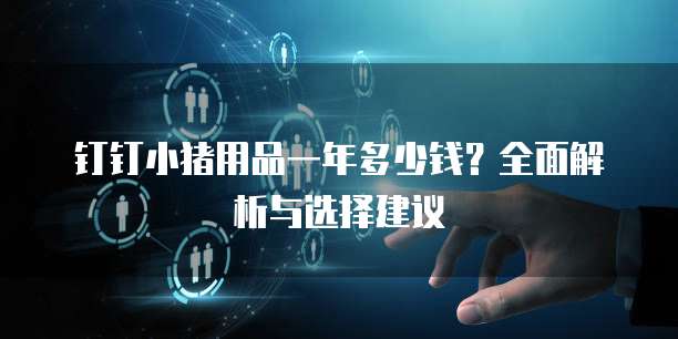 钉钉小猪用品一年多少钱?全面解析与选择建议