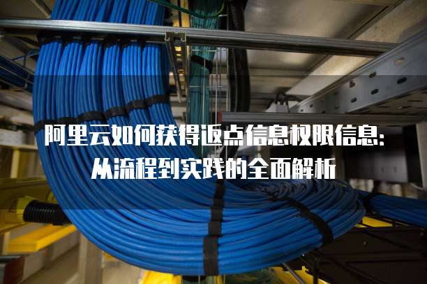 阿里云如何获得返点信息权限信息:从流程到实践的全面解析