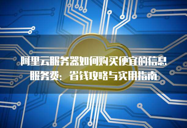 阿里云服务器如何购买便宜的信息服务费:省钱攻略与实用指南