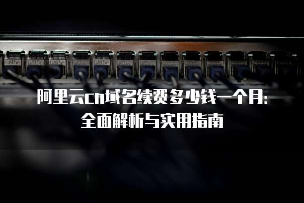 阿里云cn域名续费多少钱一个月:全面解析与实用指南