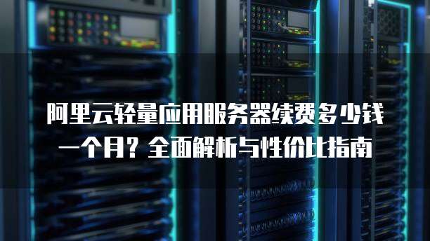 阿里云轻量应用服务器续费多少钱一个月?全面解析与性价比指南