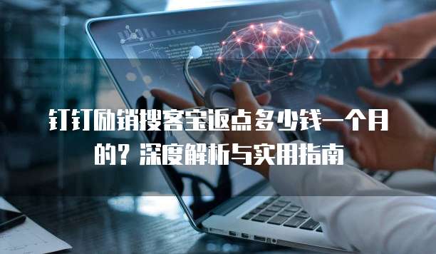 钉钉励销搜客宝返点多少钱一个月的?深度解析与实用指南