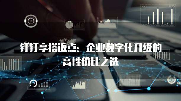 钉钉享搭返点:企业数字化升级的高性价比之选