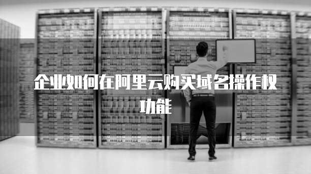 企业如何在阿里云购买域名操作权功能