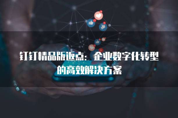 钉钉精品版返点:企业数字化转型的高效解决方案