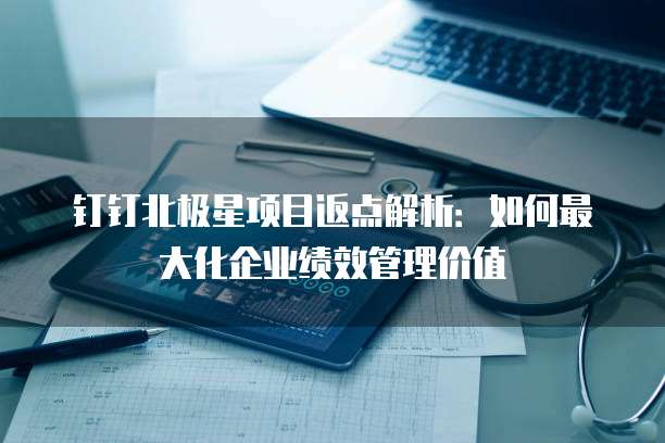 钉钉北极星项目返点解析:如何最大化企业绩效管理价值