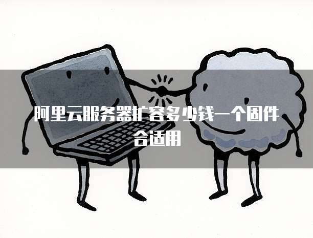 阿里云服务器扩容多少钱一个固件合适用