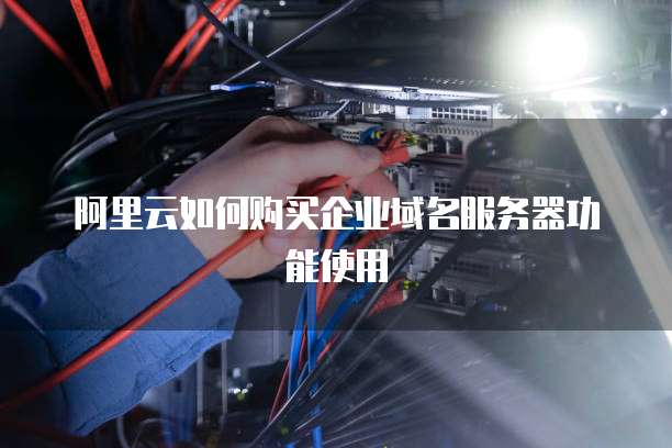 阿里云如何购买企业域名服务器功能使用