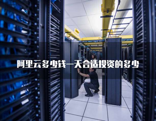 阿里云多少钱一天合适投资的多少