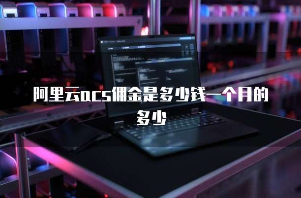 阿里云acs佣金是多少钱一个月的多少
