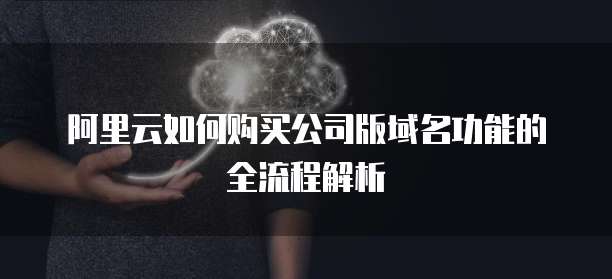 阿里云如何购买公司版域名功能的全流程解析