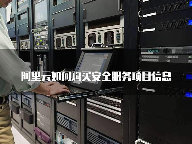 阿里云如何购买安全服务项目信息
