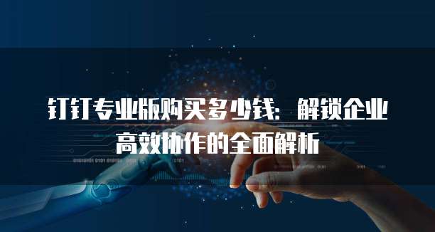 钉钉专业版购买多少钱:解锁企业高效协作的全面解析