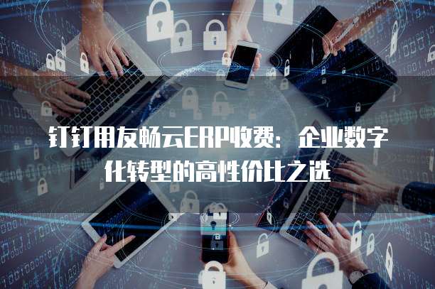 钉钉用友畅云ERP收费:企业数字化转型的高性价比之选