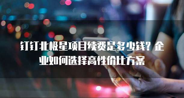 钉钉北极星项目续费是多少钱?企业如何选择高性价比方案