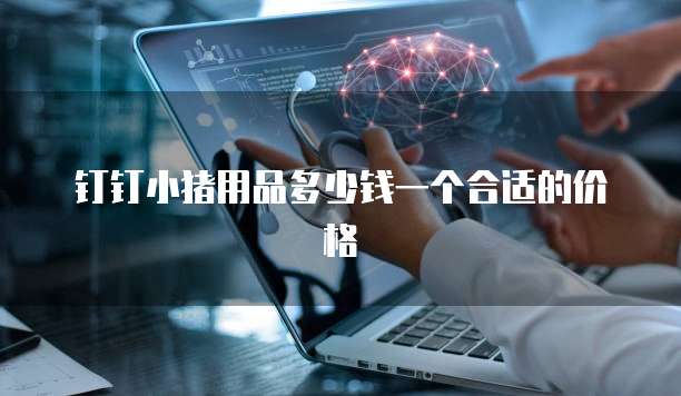 钉钉小猪用品多少钱一个合适的价格