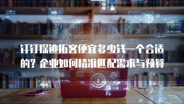 钉钉探迹拓客便宜多少钱一个合适的?企业如何精准匹配需求与预算