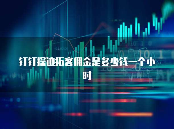 钉钉探迹拓客佣金是多少钱一个小时