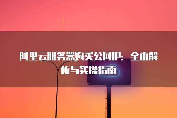 阿里云服务器购买公网IP:全面解析与实操指南