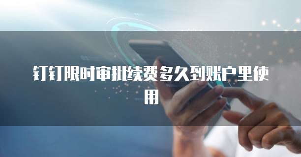 钉钉限时审批续费多久到账户里使用