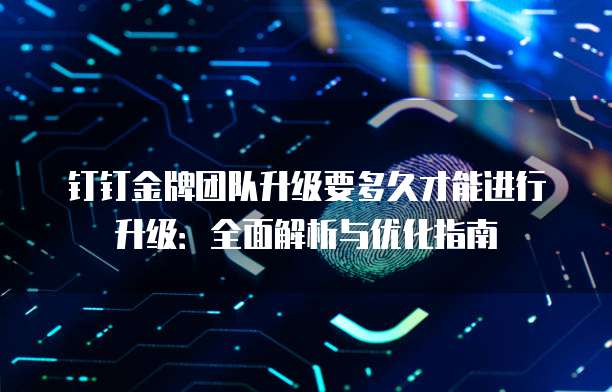 钉钉金牌团队升级要多久才能进行升级:全面解析与优化指南