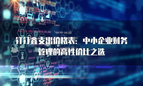 钉钉鑫支出价格表:中小企业财务管理的高性价比之选