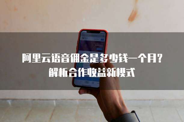 阿里云语音佣金是多少钱一个月?解析合作收益新模式