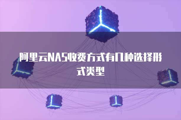 阿里云NAS收费方式有几种选择形式类型
