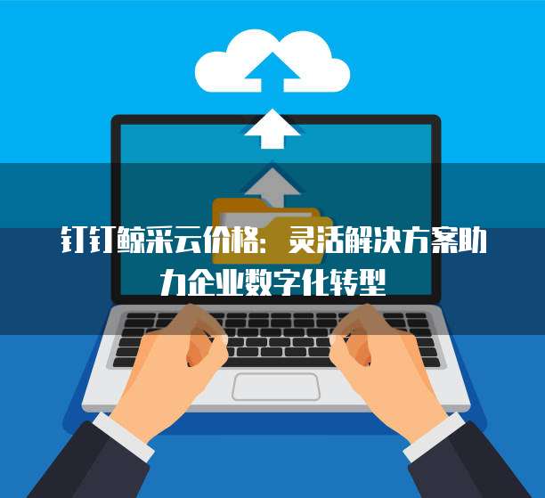钉钉鲸采云价格:灵活解决方案助力企业数字化转型