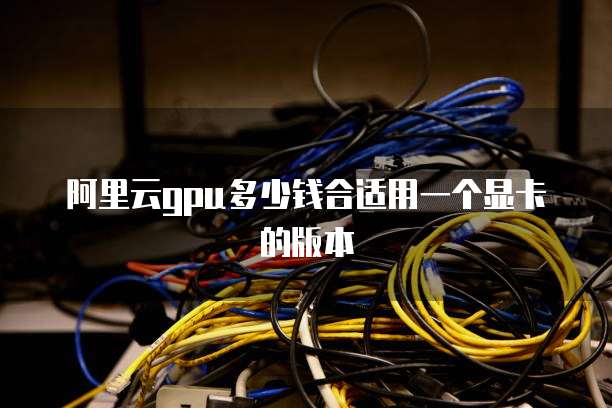 阿里云gpu多少钱合适用一个显卡的版本