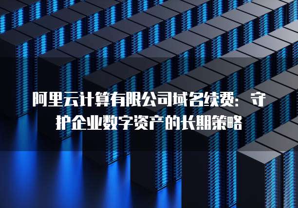阿里云计算有限公司域名续费:守护企业数字资产的长期策略