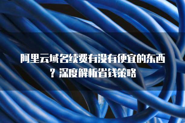 阿里云域名续费有没有便宜的东西？深度解析省钱策略