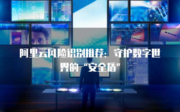 阿里云风险识别推荐:守护数字世界的“安全盾”