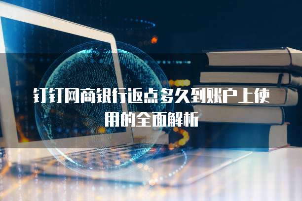 钉钉网商银行返点多久到账户上使用的全面解析